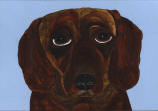 Dachshund - Brown