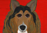 Collie