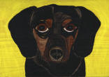 Dachshund - Black & Tan