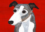 Greyhound