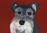 Schnauzer