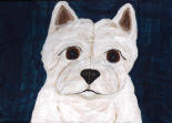 Westie