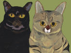 Black & Tabby Cats