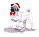 (H1) Holiday Pencil Pug